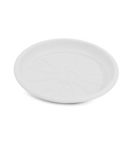 Ponza Saucer