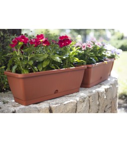 Capri Window Box with Saucer Terracotta