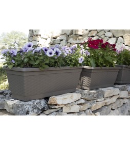 Rattan Window Box with Saucer